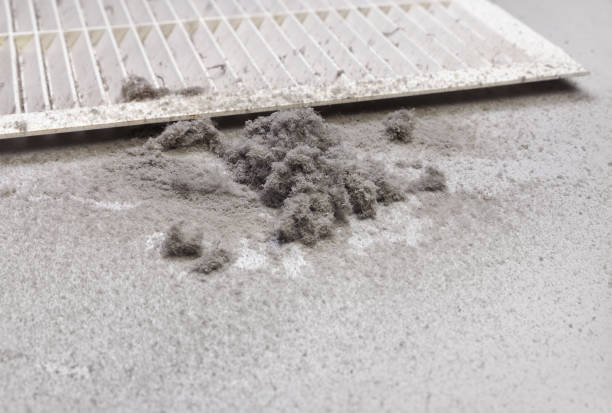 Best Ventilation Cleaning Services  in Stiles, PA