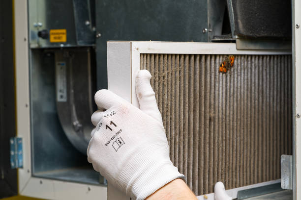 Best Air Quality Test  in Stiles, PA
